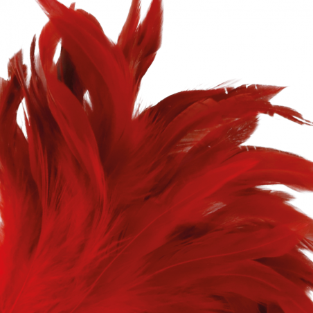 DARKNESS - PLUME ROUGE 24CM